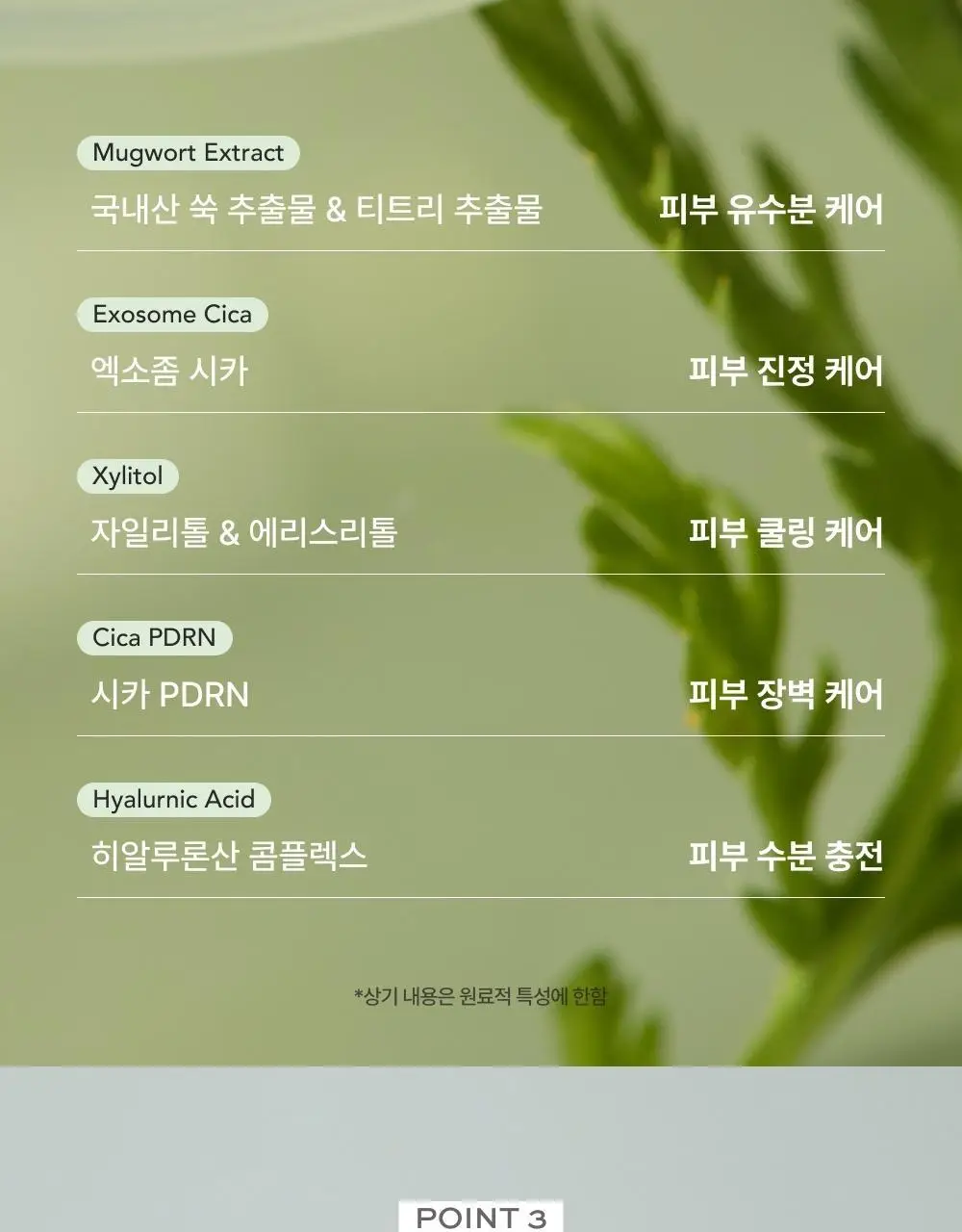 [민감진정] 휩드 머그트리 비건 휘핑 버블 세럼 92ml 상세페이지 15